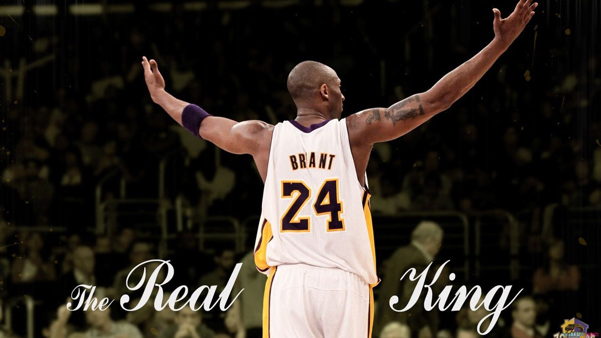 热火队球队主场表现强势,热火队的主场