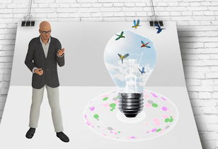 -中国篮球职业联赛俱乐部财务风险管理及控制，篮球俱乐部的风险与对策