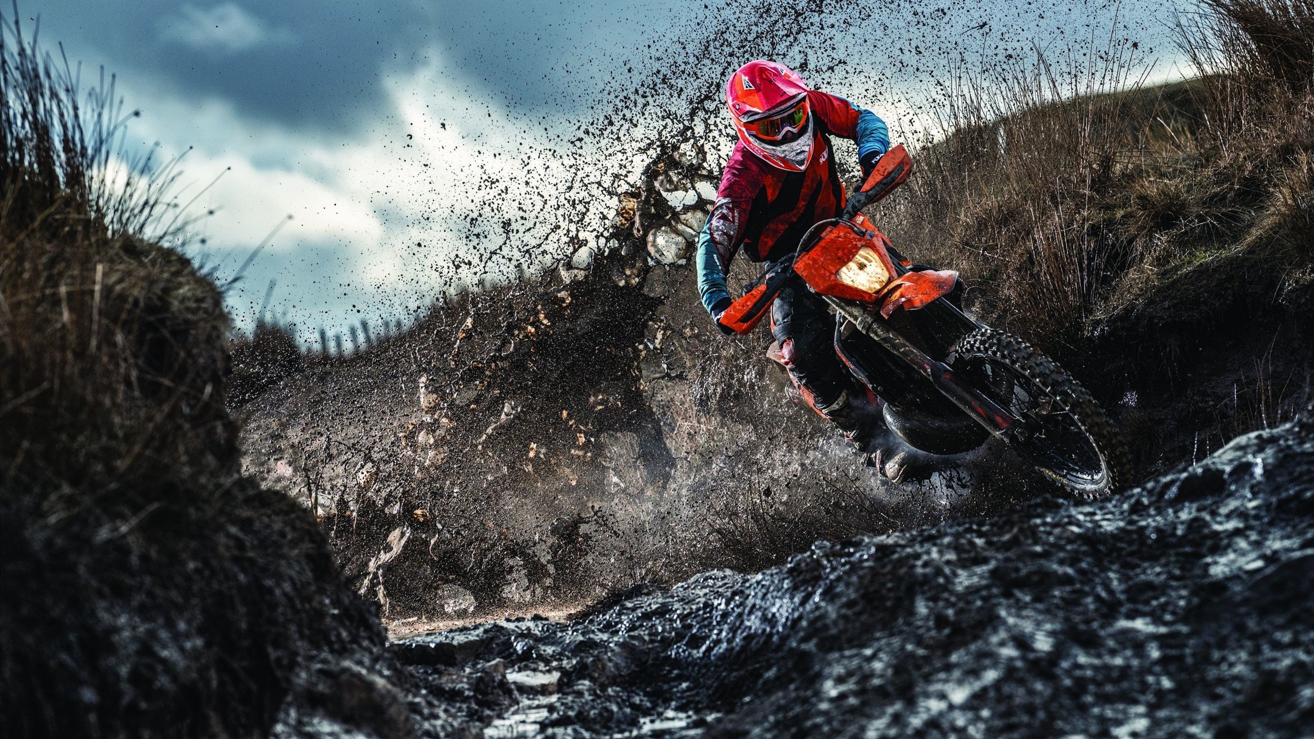 《Valorant年度总决赛,NRG战队逆袭夺冠》,valorant战队排名